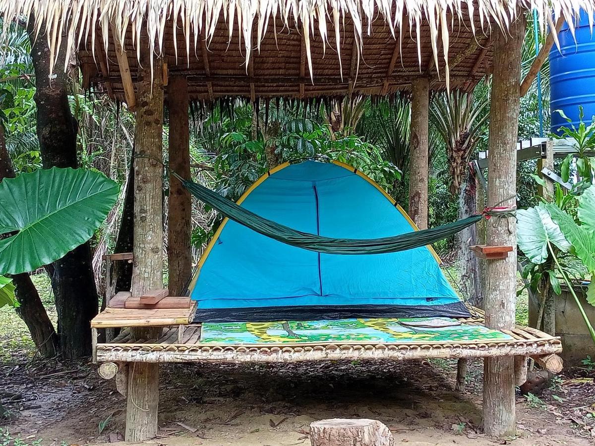 Wassana Camp & Khai Jungle Experience Ban Kraison Exterior photo